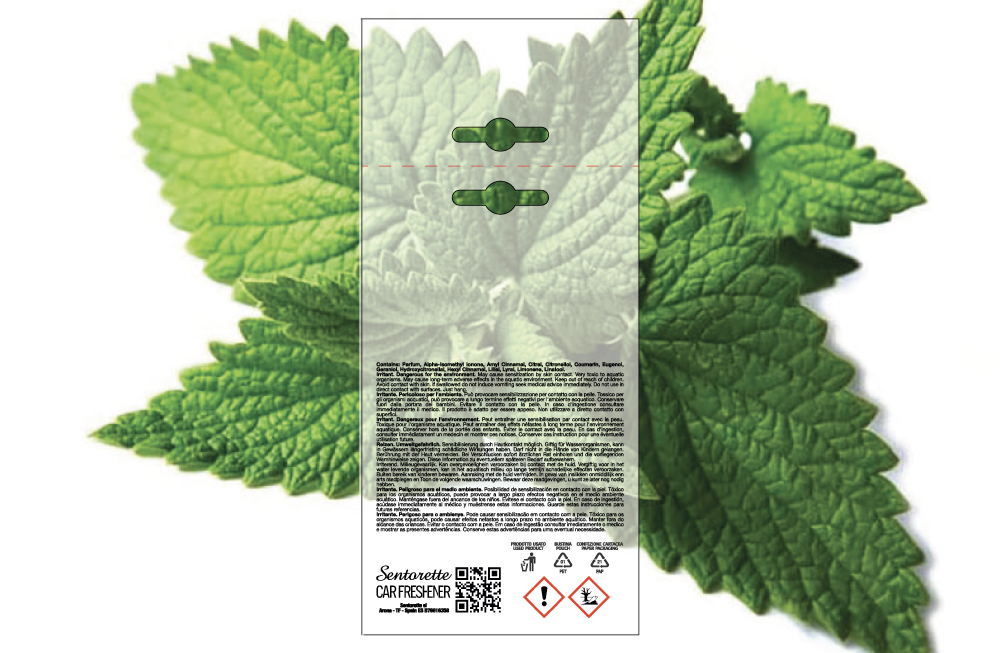 Mentha fresca